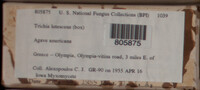 Image Associated With the Occurence